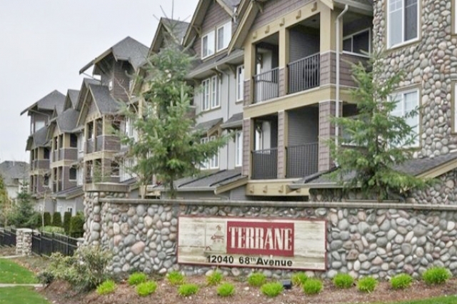 Terrane - photo 2 of 5