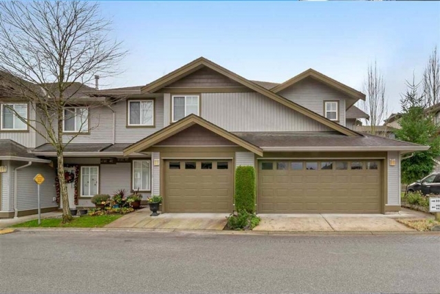 Terrane - photo 3 of 5