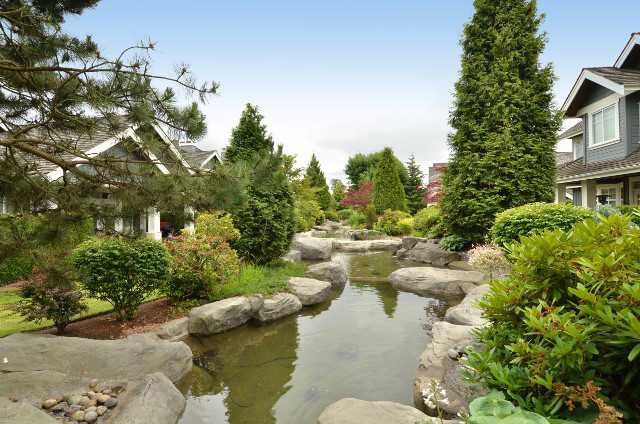 Wedgewood - photo 2 of 9