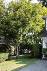 26 8428 VENTURE WAY - thumbnail 28