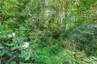 45 6537 138 STREET - thumbnail 23