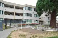 113 9635 121 STREET - thumbnail 1
