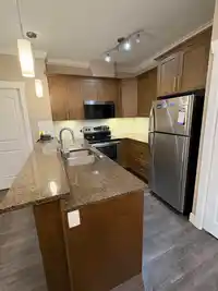 409 8183 121A STREET - thumbnail 3