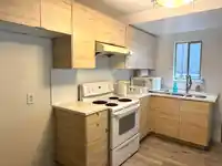 16328 96 AVENUE - thumbnail 18