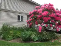 19274 FAIRWAY DRIVE - thumbnail 21
