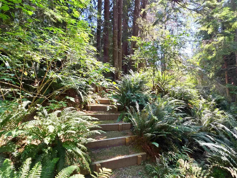 793 ANDY'S BAY ROAD - photo 3 of 25