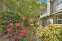#23 5811 122 STREET - thumbnail 4