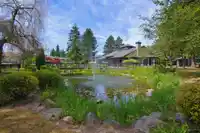 178 16080 82 AVENUE - thumbnail 39