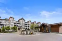 409 6490 194 STREET - thumbnail 32