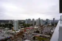 3203 13495 CENTRAL AVENUE - thumbnail 13