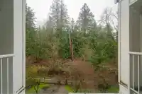 408 16388 64 AVENUE - thumbnail 27
