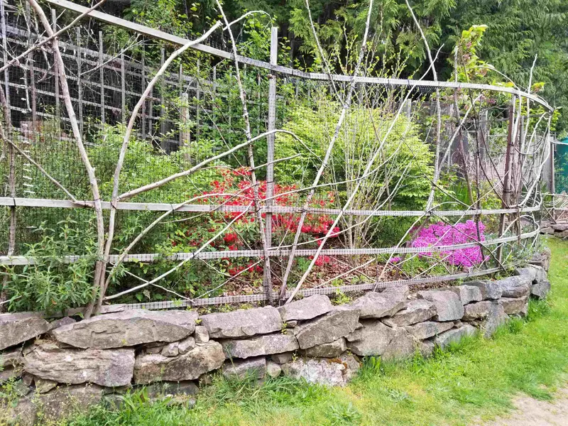 9975 PORLIER PASS ROAD - photo 2 of 25