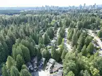 14718 101A AVENUE - thumbnail 10