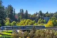909 9981 WHALLEY BOULEVARD - thumbnail 23