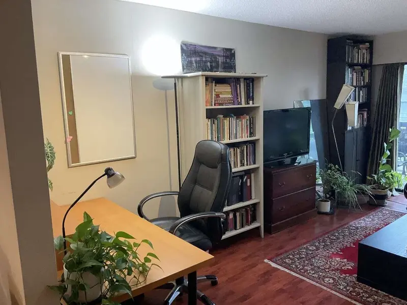 203 211 W 3RD STREET - photo 3 of 17