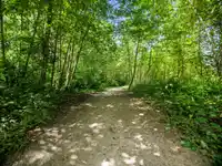 303 18755 68 AVENUE - thumbnail 23