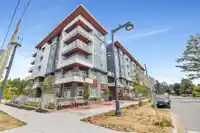 401 14225 103A AVENUE - thumbnail 1