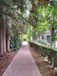 205 15388 105 AVENUE - thumbnail 21