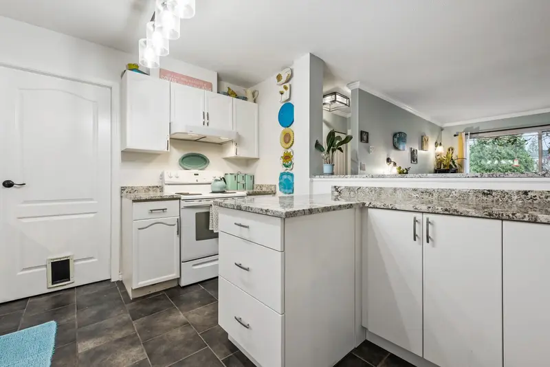 120 33175 OLD YALE ROAD - photo 4 of 25