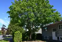 17486 61A AVENUE - thumbnail 15