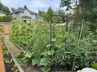 15162 81A AVENUE - thumbnail 38