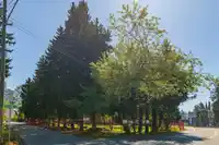 13003 OLD YALE ROAD - thumbnail 1