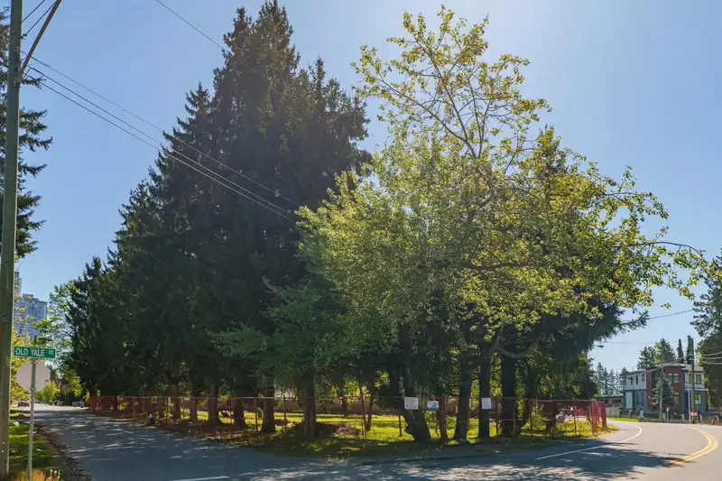 13003 OLD YALE ROAD - photo 1 of 12