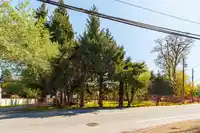 13003 OLD YALE ROAD - thumbnail 2