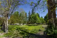 13003 OLD YALE ROAD - thumbnail 3