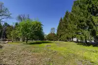 13003 OLD YALE ROAD - thumbnail 5