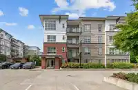 216 6438 195A STREET - thumbnail 35