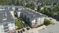 216 6438 195A STREET - thumbnail 36