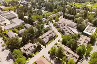 203 7182 133A STREET - thumbnail 15
