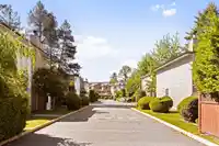 203 7182 133A STREET - thumbnail 16