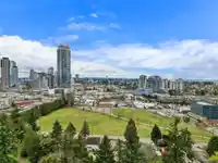 13627 HILTON ROAD - thumbnail 37