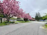 56 8220 KING GEORGE BOULEVARD - thumbnail 26