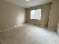 49 15155 62A AVENUE - thumbnail 21