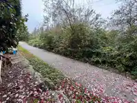 49 15155 62A AVENUE - thumbnail 30
