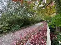 49 15155 62A AVENUE - thumbnail 31