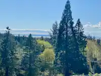 14203 TRITES ROAD - thumbnail 39