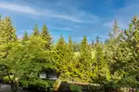 207 16477 64 AVENUE - thumbnail 32