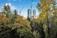 507 9830 WHALLEY BOULEVARD - thumbnail 22