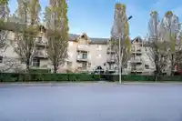 415 8110 120A STREET - thumbnail 16