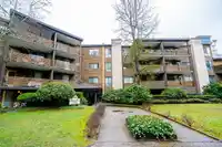 208 10644 151A STREET - thumbnail 2