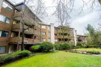 208 10644 151A STREET - thumbnail 3
