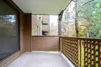 208 10644 151A STREET - thumbnail 23