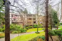 208 10644 151A STREET - thumbnail 25