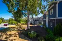 26 9762 182A STREET - thumbnail 28