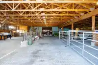 8129 HARVIE ROAD - thumbnail 33