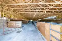 8129 HARVIE ROAD - thumbnail 34